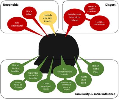 Benefits and Challenges in the Incorporation of Insects in Food Products